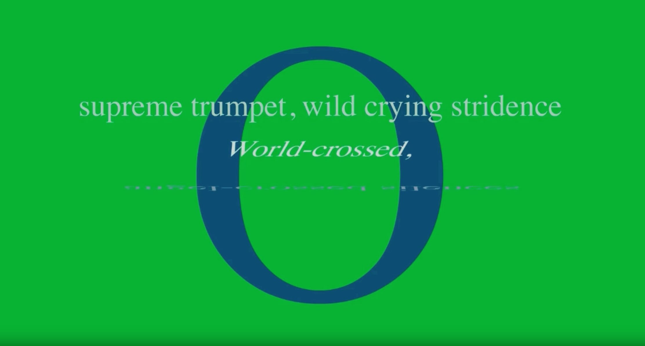 Someone elses emu.